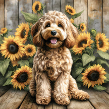 Load image into Gallery viewer, Teddy-Full Round Diamond Painting-40x40cm
