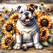 Load image into Gallery viewer, Teddy-Full Round Diamond Painting-40x40cm
