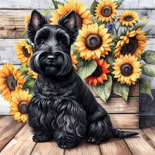 Load image into Gallery viewer, Teddy-Full Round Diamond Painting-40x40cm
