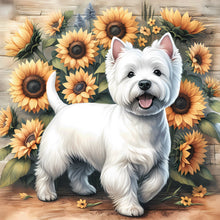 Load image into Gallery viewer, Teddy-Full Round Diamond Painting-40x40cm
