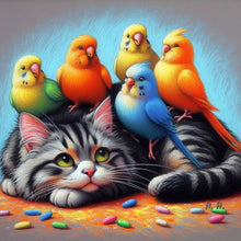 Load image into Gallery viewer, Kittens Parrot-Full Round Diamond Painting-40x40cm
