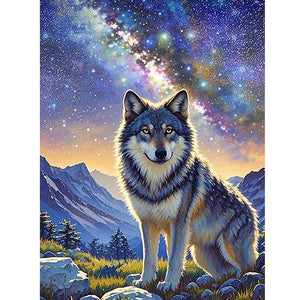 Bear-Full Round Diamond Painting-30x40cm