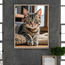 Load image into Gallery viewer, Cat-Full Round Diamond Painting-40x50cm
