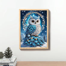Load image into Gallery viewer, Owl-Partial Special Diamond Painting-30x40cm
