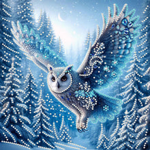 Load image into Gallery viewer, Snow Scene Cat-Partial Special Diamond Painting-30x30cm
