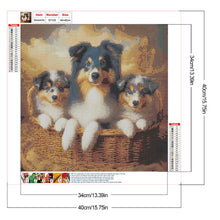 Load image into Gallery viewer, Dog-Full Round Diamond Painting-40x40cm
