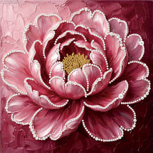 Load image into Gallery viewer, New Pearl Painting-Partial Pearl Painting Kit with Frame-25x25cm
