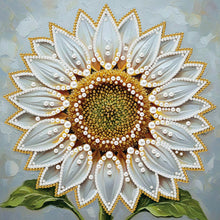 Load image into Gallery viewer, New Pearl Painting-Partial Pearl Painting Kit with Frame-25x25cm
