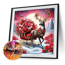 Load image into Gallery viewer, Owl-Partial Special Diamond Painting-30x30cm
