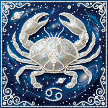 Load image into Gallery viewer, Pisces-Partial Pearl Painting Kit with Frame-25x25cm

