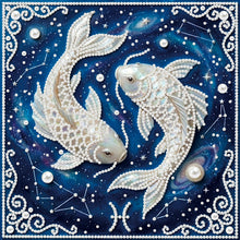 Load image into Gallery viewer, Pisces-Partial Pearl Painting Kit with Frame-25x25cm

