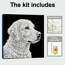 Load image into Gallery viewer, Golden Retriever-Partial Pearl Painting Kit with Frame-25x25cm
