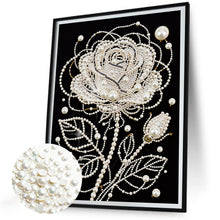 Load image into Gallery viewer, Owl-Partial Pearl Painting Kit Without Frame-30x40cm
