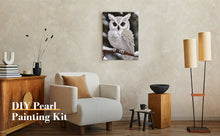 Load image into Gallery viewer, Pearl Owl-Partial Special Diamond Painting-30x40cm
