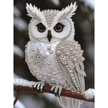 Load image into Gallery viewer, Pearl Owl-Partial Special Diamond Painting-30x40cm
