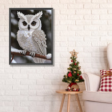Load image into Gallery viewer, Pearl Owl-Partial Special Diamond Painting-30x40cm
