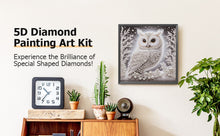 Load image into Gallery viewer, Owl-Partial Special Diamond Painting-30x30cm
