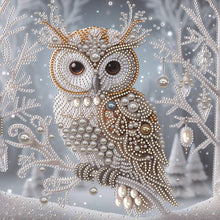 Load image into Gallery viewer, Owl-Partial Special Diamond Painting-30x30cm

