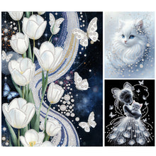 Load image into Gallery viewer, Cat-Partial Special Diamond Painting-30x40cm
