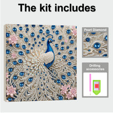 Load image into Gallery viewer, Flowers and Birds-Partial Pearl Painting Kit with Frame-25x25cm
