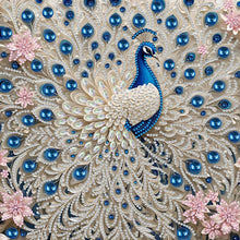 Load image into Gallery viewer, Flowers and Birds-Partial Pearl Painting Kit with Frame-25x25cm

