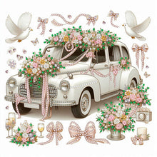 Load image into Gallery viewer, White Dove Car-Partial Special Diamond Painting-30x30cm
