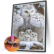 Load image into Gallery viewer, Cat-Full Round Diamond Painting-40x50cm
