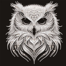 Load image into Gallery viewer, Flowers and Bird-Partial Special Diamond Painting-30x30cm

