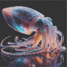 Load image into Gallery viewer, Dreamy Squid-Full Round Diamond Painting-30x30cm

