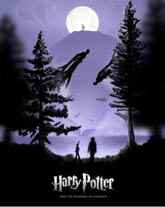 Harry potter -Diamond Painting- 40*50