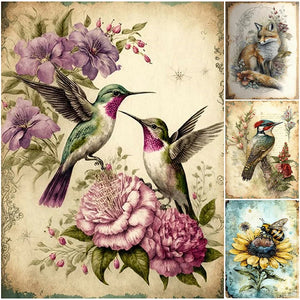 Bird-Full Round Diamond Painting-30x40cm
