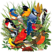 Load image into Gallery viewer, Bird-Full Round Diamond Painting-40x40cm
