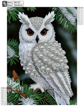 Load image into Gallery viewer, Pearls Owl Partially specially shaped Diamond painting-30x40cm
