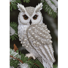 Load image into Gallery viewer, Pearls Owl Partially specially shaped Diamond painting-30x40cm
