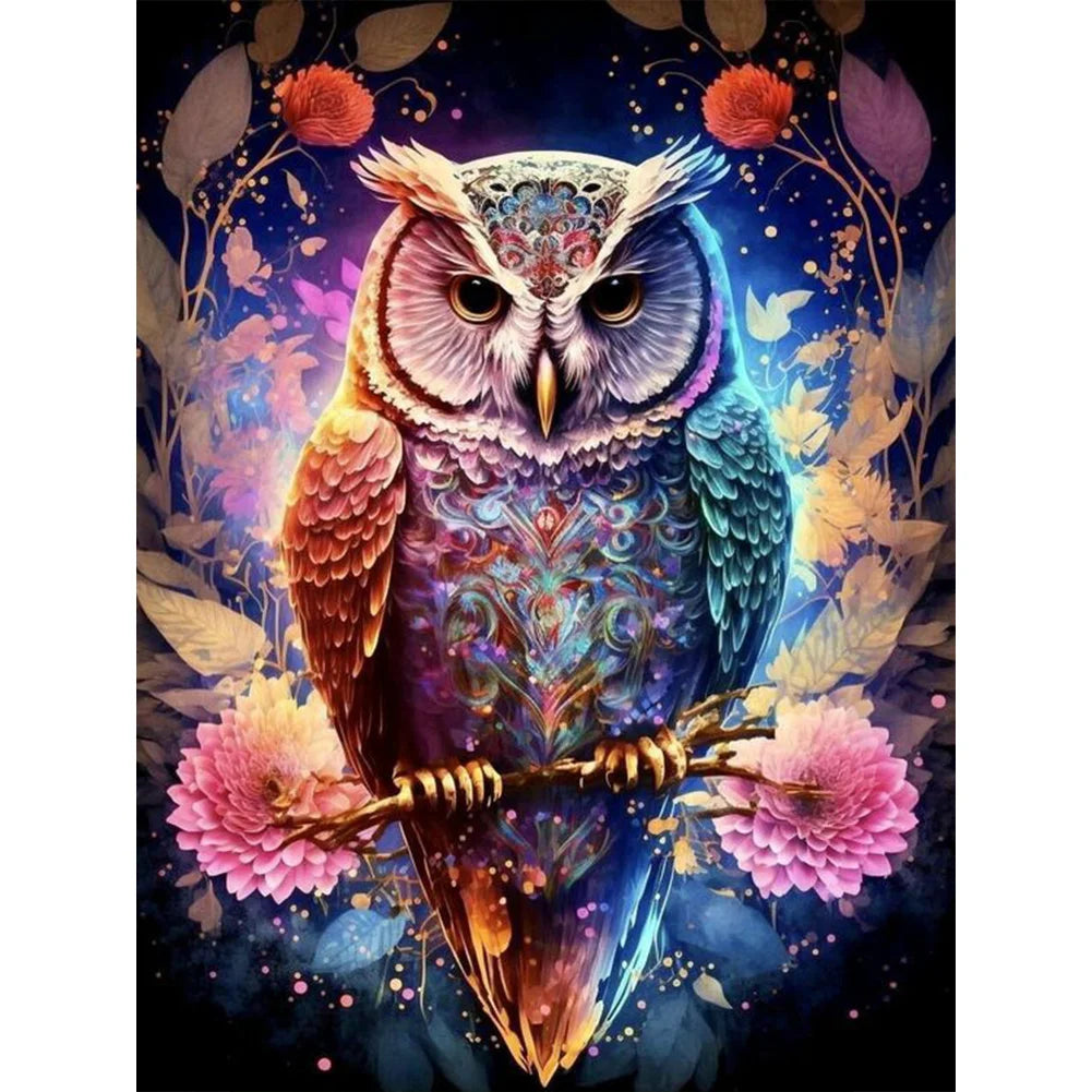 Dream Owl-Full Round Diamond Painting-30x40cm