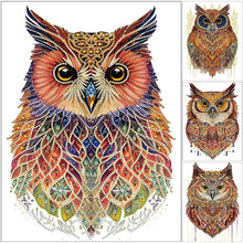 Load image into Gallery viewer, Owl-Partial Special Diamond Painting-30x40cm

