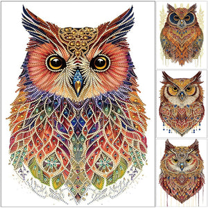 Owl-Partial Special Diamond Painting-30x40cm