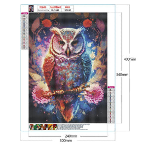 Dream Owl-Full Round Diamond Painting-30x40cm