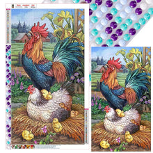 Load image into Gallery viewer, Cockerel-Full Round Diamond Painting-40x70cm-Large Size
