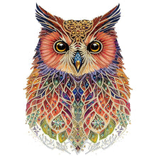 Load image into Gallery viewer, Owl-Partial Special Diamond Painting-30x40cm
