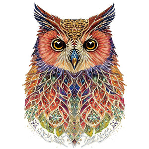 Owl-Partial Special Diamond Painting-30x40cm