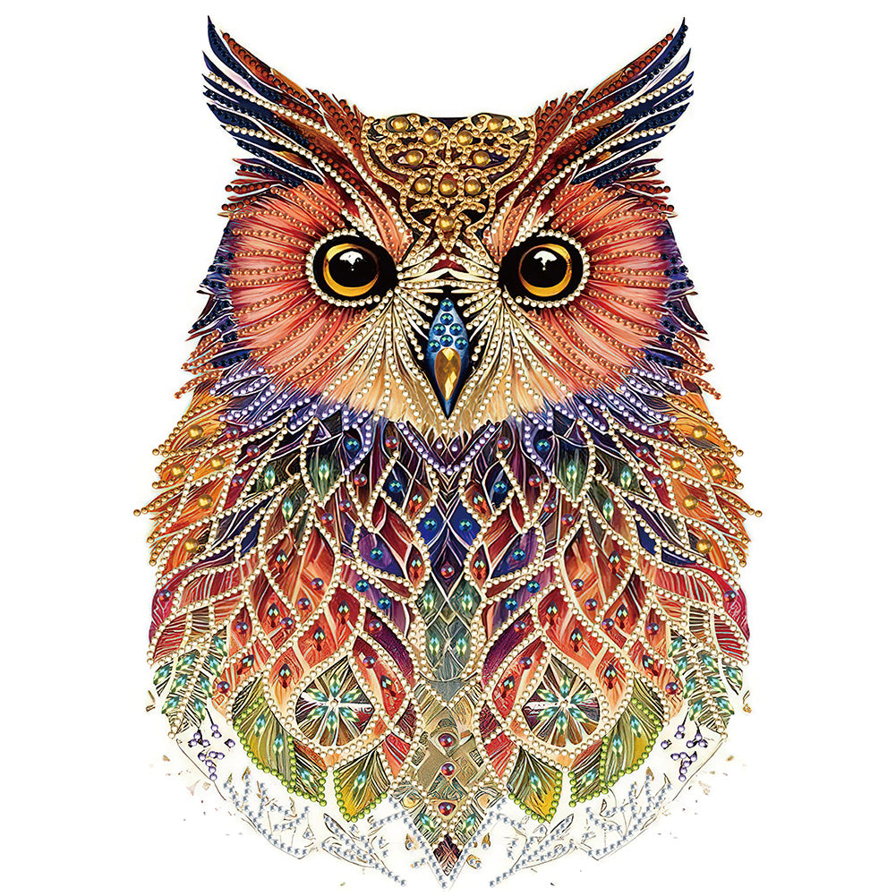 Owl-Partial Special Diamond Painting-30x40cm