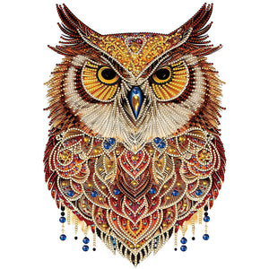Owl-Partial Special Diamond Painting-30x40cm