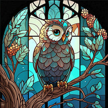 Load image into Gallery viewer, Owl-Full Round Diamond Painting-30x30cm
