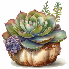 Load image into Gallery viewer, Succulent Plants-Full Round Diamond Painting-30x30cm

