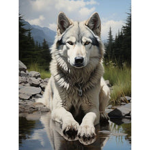 Load image into Gallery viewer, Koala-Full Round Diamond Painting-30x40cm
