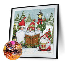 Load image into Gallery viewer, Gnome-Full Round Diamond Painting-30x30cm
