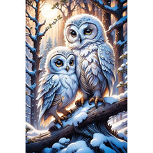 Load image into Gallery viewer, Owl-Full Round Diamond Painting-30x45cm
