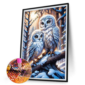 Owl-Full Round Diamond Painting-30x45cm