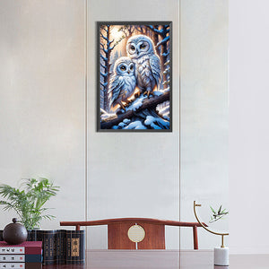 Owl-Full Round Diamond Painting-30x45cm